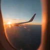omar_habibi7
