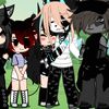 user867087186
