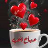 user4071031004135