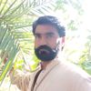 sher.wali533