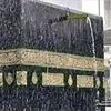 alisha_2183