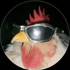bauu_carp1