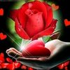 timro.yad.ma3