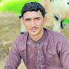 choudhary.hamid.g