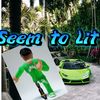seemtolit2