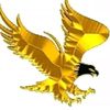 user1780602881386