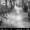 mon.qar2