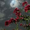 none_2280