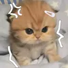 akishadump4