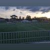 tbug_21