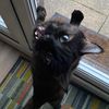 billy.roddis11