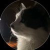 cat.lover5226