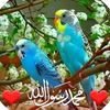 mohammad.nejrabi69