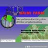 zaini.moh3