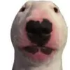 tru3_st0ries