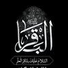 user54981816959742
