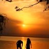 cratoer.search.ins