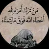 ali453576