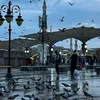 rana_2009.r