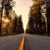 losti_15