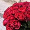 ahmed000630