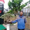 arief.tjah.boyola