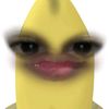 _spamcip
