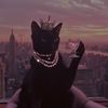 grayxcat