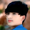 gull__zeeb_gudlai_mashar