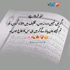 universallaw_olnyone