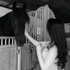 ilovehorse_111