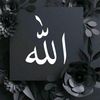 ali.wale035