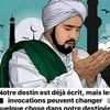 user3639582618178