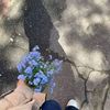 limya.osman5