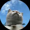 supsky3