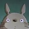 usertotoro000