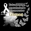 yany.xec