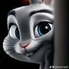 andrea.samie