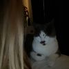 _marlee6