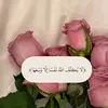 nxev_22