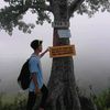 raff_fiy2827