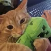 xeewminks.s