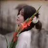 hynii20