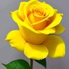 khin.mar.win988
