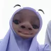 sx_sapika