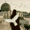 amiirada_qarsoon
