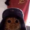 communist_kitty70