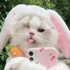 hanaziepet38.com