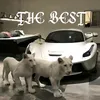thebest.nice