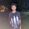 budk_sinilah0